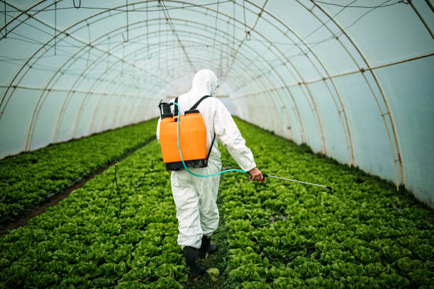 Trusted Collinsville, AL Pest Control Experts