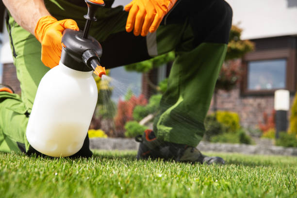 Pest Prevention Services in Collinsville, AL