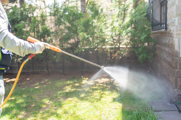 Best Best Pest Control Companies  in Collinsville, AL