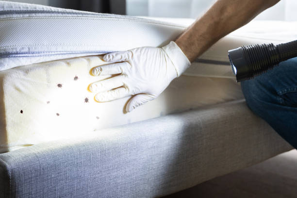 Pest Control for Restaurants in Collinsville, AL