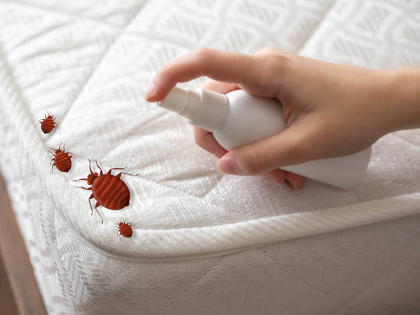 Pest Control Cost in Collinsville, AL